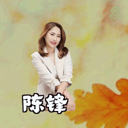 陈锋